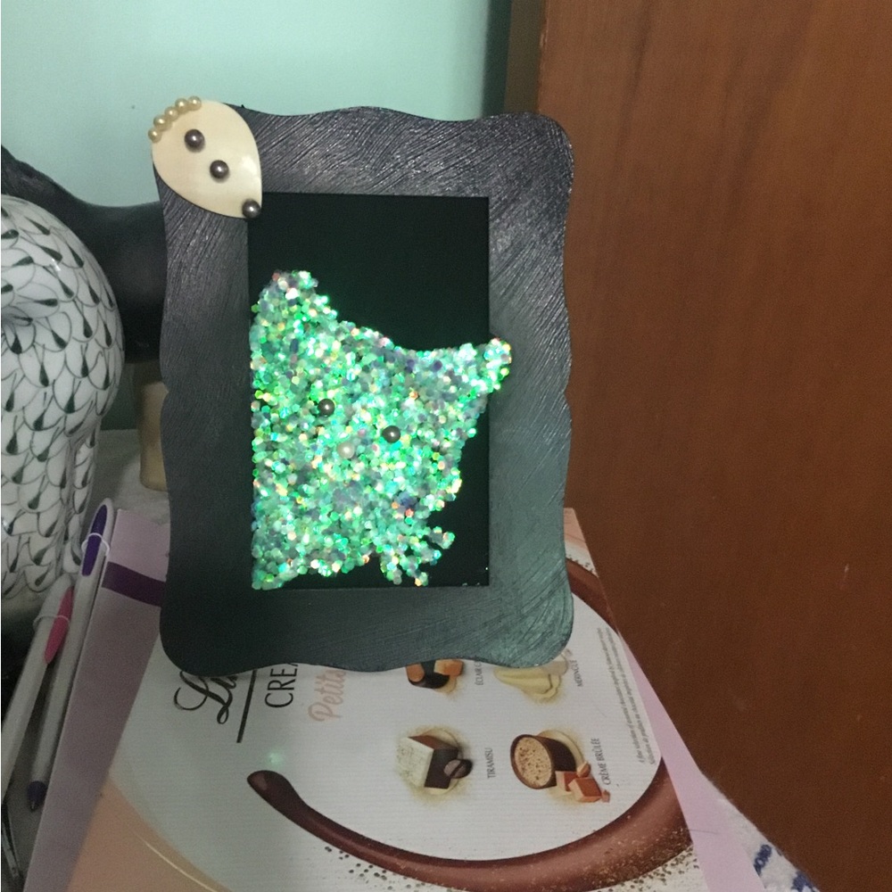 Black and Green Cat Sequin Photo Frame with Rescued Gems